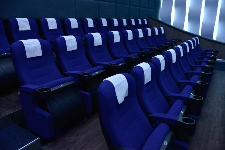 Media Room VIP Luxury Home Cinema Cinema Auditorium Movie Theater Couch