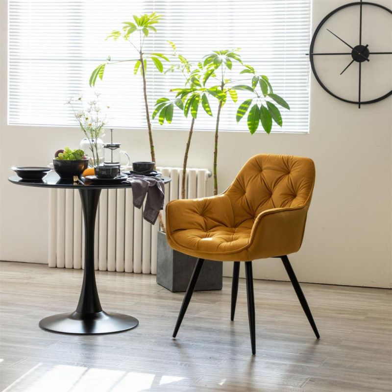 European Design Dining Room Furniture Steel Tube Leg Dining Chair