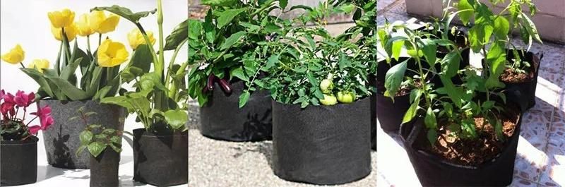 Breathable Felt Fabric Planter Grow Bags for Plants Garden Bed Round Planting Container Grow Bag