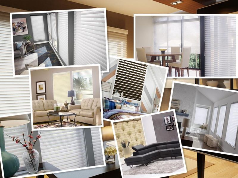 High Quality Double Layer Fabric Sheer Shangri-La Blinds Shades