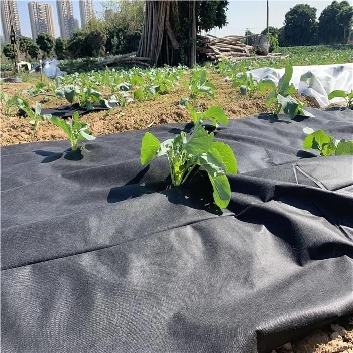 Agriculture Gardening Weed Mat PP Nonwoven Weed Control Mat