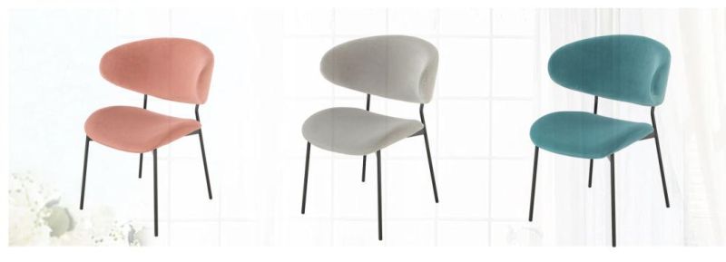 New Modern Dining Chairs with Powder Coating Legs