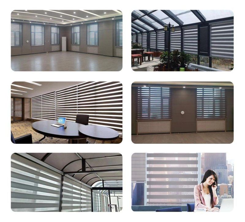 Canada Window Blackout Dual Roller Shades Custom Size High Quality Zebra Blinds