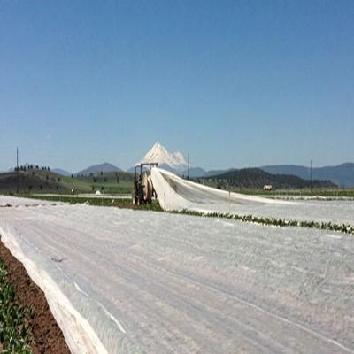Light Weight PP Spunbond Nonwoven Fabric Agriculture Cover
