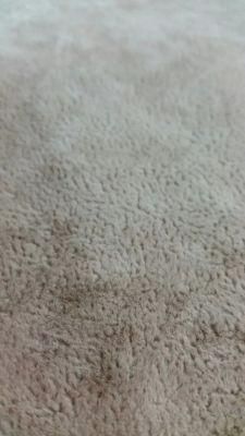 Single Flocked Fabric for Sofa (J022)