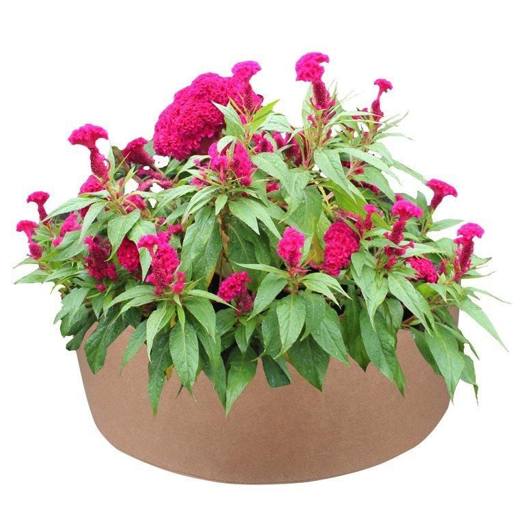 Round Planting Container Grow Bags Breathable Felt Fabric Planter Pot for Plants Nursery Pot Fabric Raised Garden Bed