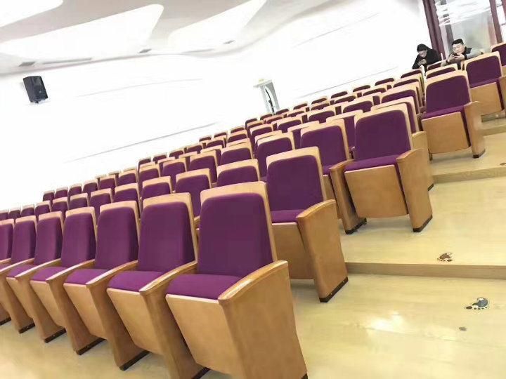 Conference Audience Public Classroom Lecture Theater Church Theater Auditorium Seating