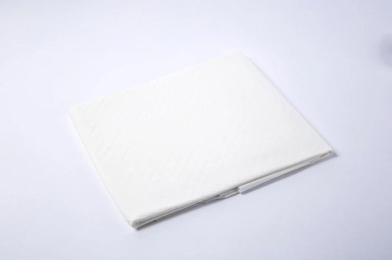 Top Selling Disposable Comfortable Underpad Portable Adult Nursing Pad Bed Pad PE Adult Care Hospital CE FDA