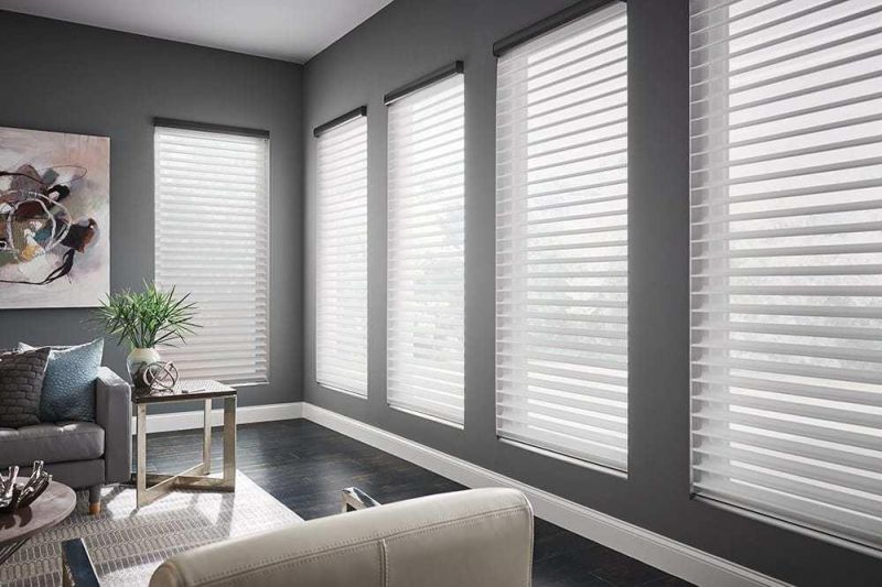 High Quality Double Layer Fabric Sheer Shangri-La Blinds Shades