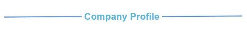 10 Handles 3 Layer Waterproof PEVA Corpse Body Bag with PP Non-Woven Fabric