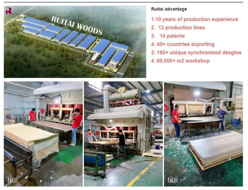 Wood MDF/MDF Production Line/MDF Laminate