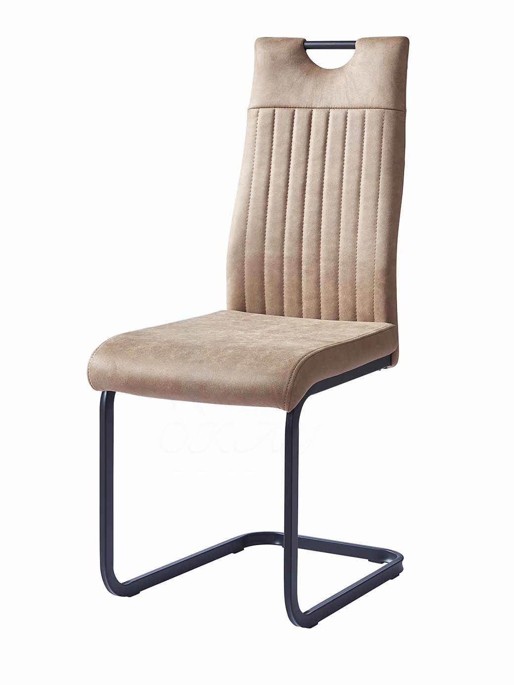 Home Furniture New Design Modern Dining Chair