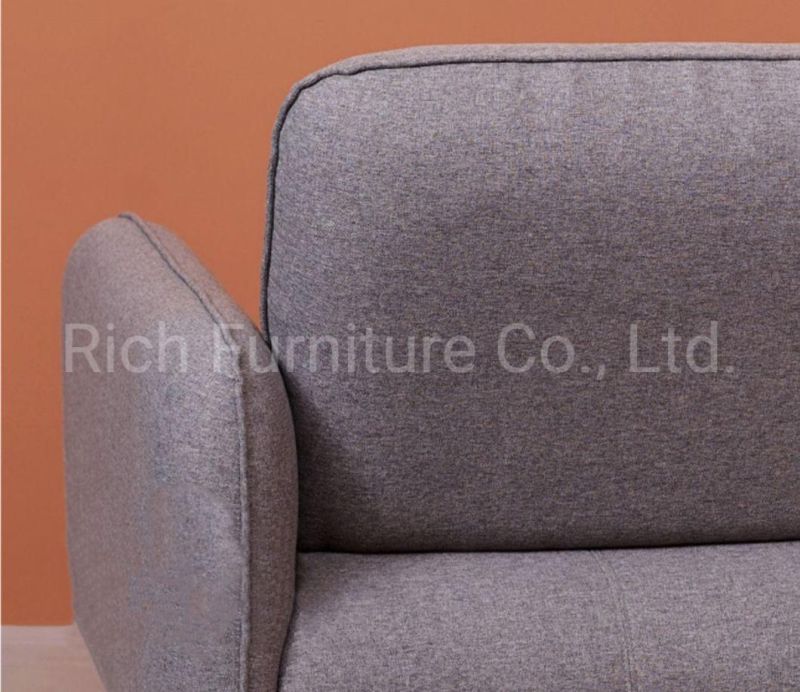 Fashion Fabric Home Furniture for Living Room 2 Seater Loveseat Sofa