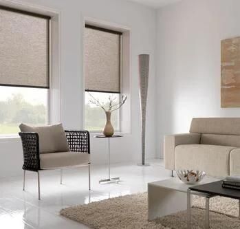 Roller Shades Roller Manual Fabric Blackout Blinds Motorized Blinds