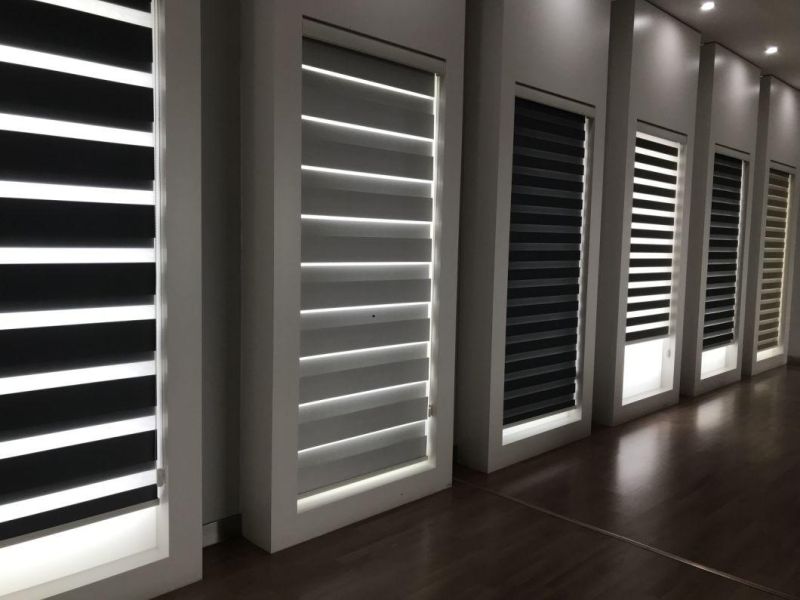 Plain Color Light Filtering Roller Blind and Curtain