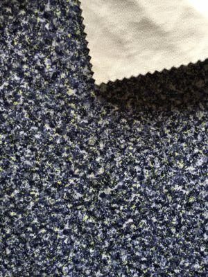 Polyester Knitting Velvet with Printing Design (PR042)
