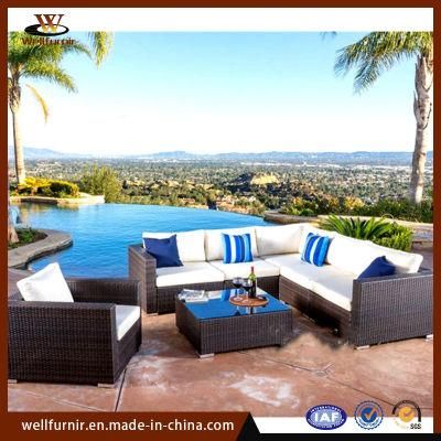 Luxury Outdoor Double PE Rattan Sofa Set with Cushion for Beach (WFD-07H)