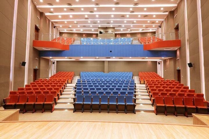 Public Lecture Hall School Economic Media Room Church Theater Auditorium Chair