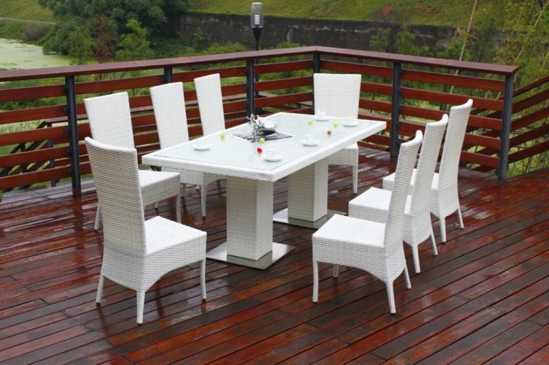 Foshan Factory Garden Furniture Dining Chair and Table (BP-331A)
