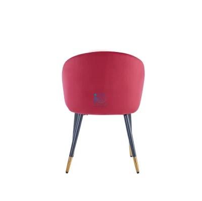 Hot Sale Free Sample Professional Factory Luxury Nordic Custom Luxury Velvet Dining Chair Modern
