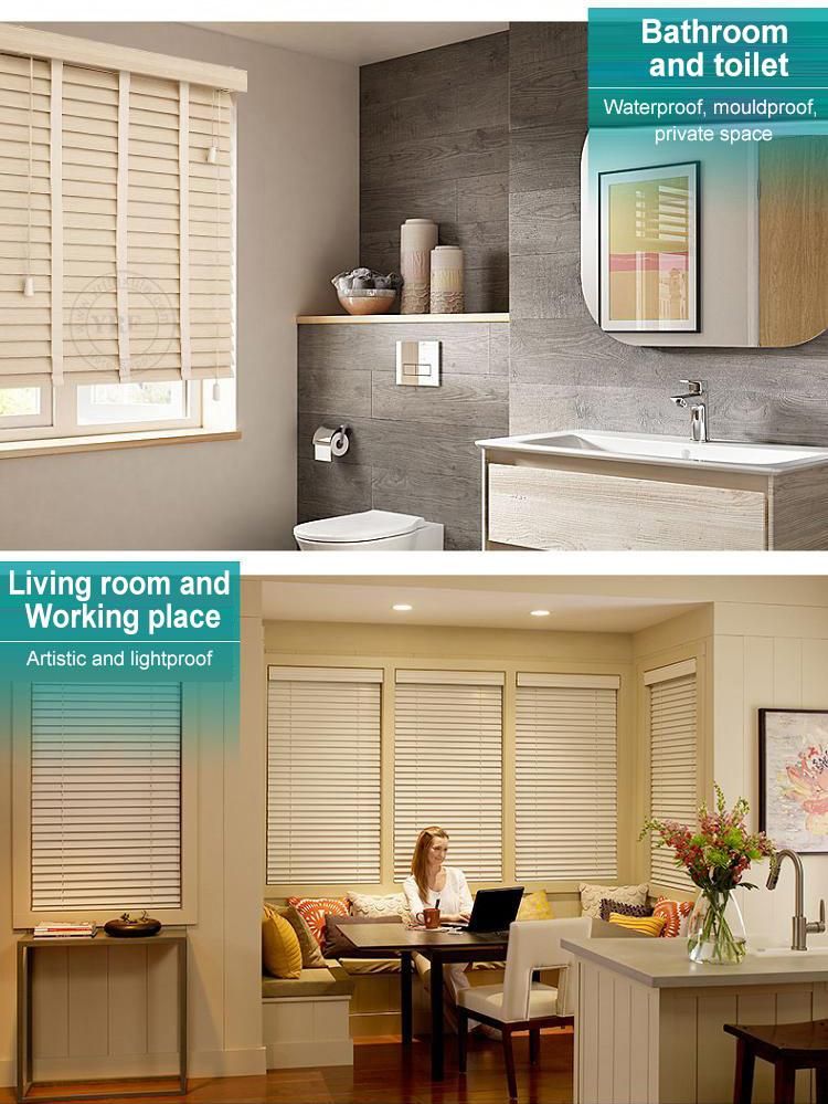 Modern China Roller Blinds &Shutter Window Blinds