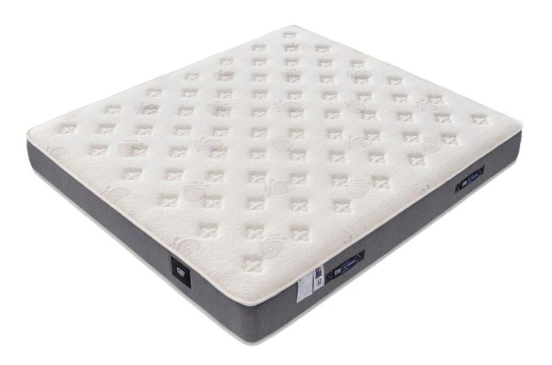 Bedroom Furniture Bedding Mattress Mini Pocket Spring Mattress for Hotel Gsv961