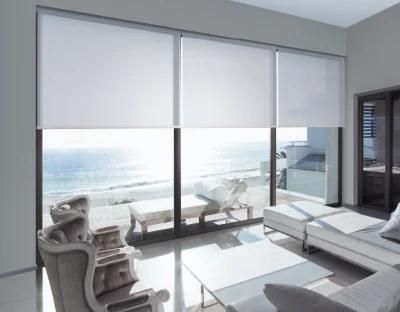 Window Decorative Indoor Daylight Roller Blinds