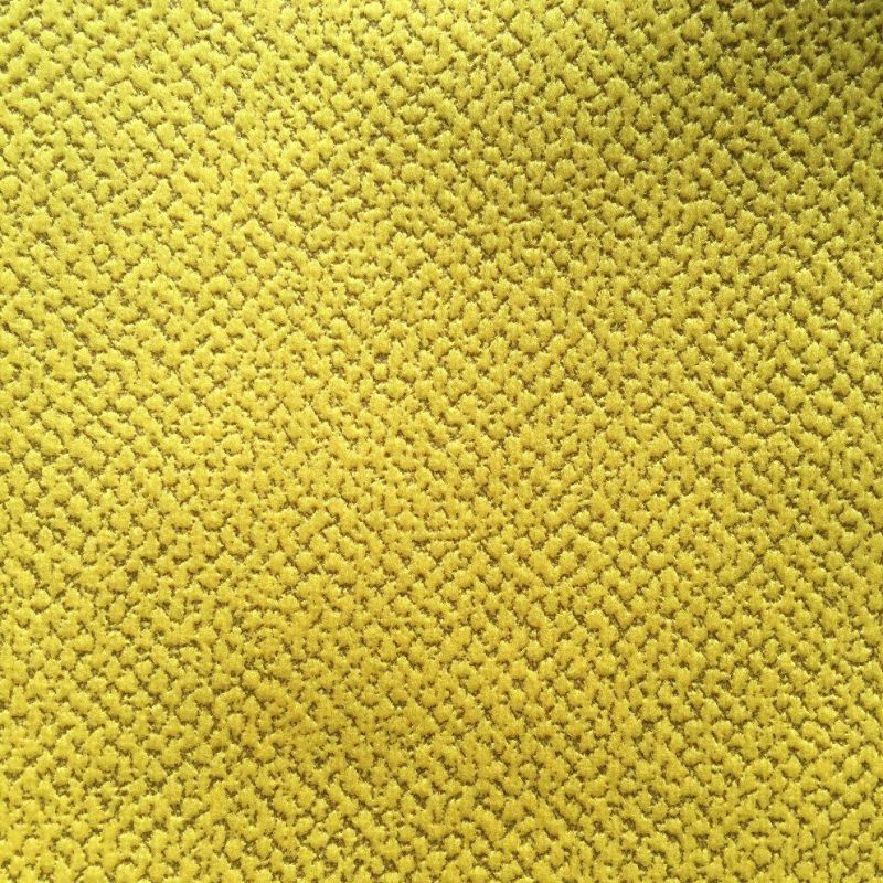 Embossed Velvet Sofa Fabric Furniture Fabric (dragon)
