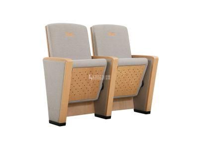 Public Audience Lecture Theater Stadium Office Auditorium Church Theater Chair