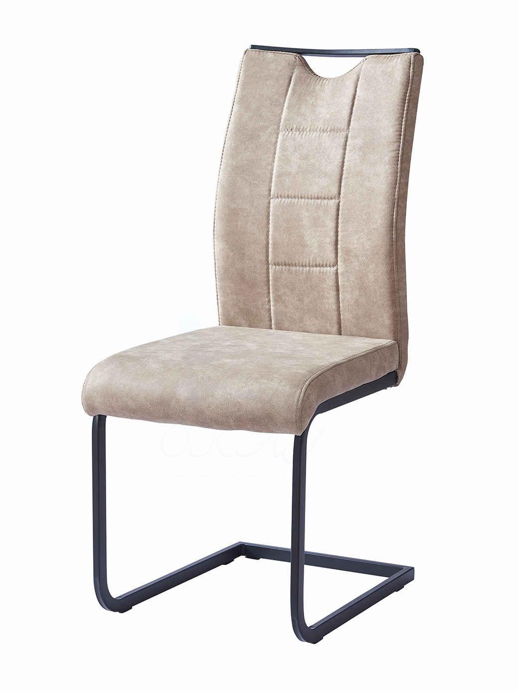 Simple Modern Home Dining Chair