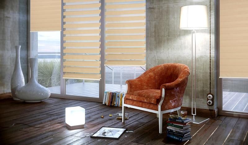 Rainbow Zebra Blinds for Windows