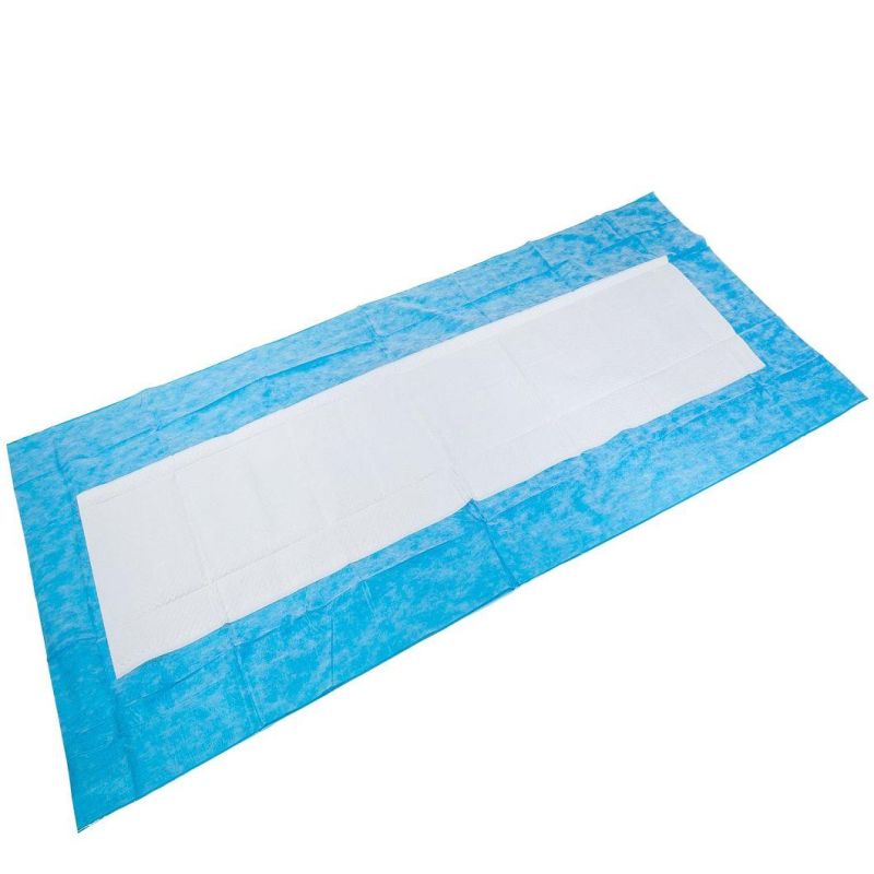 100*230mm OEM ODM Adult Disposable Underpad Incontinence Products Under Pad for Seniors Disposable Bed Pads Hospital Bed Pads Adult Bed Pads Underpads for Bed