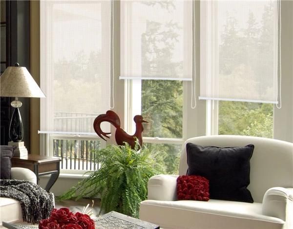 Polyester and PVC Sunscreen Shading Roller Blinds