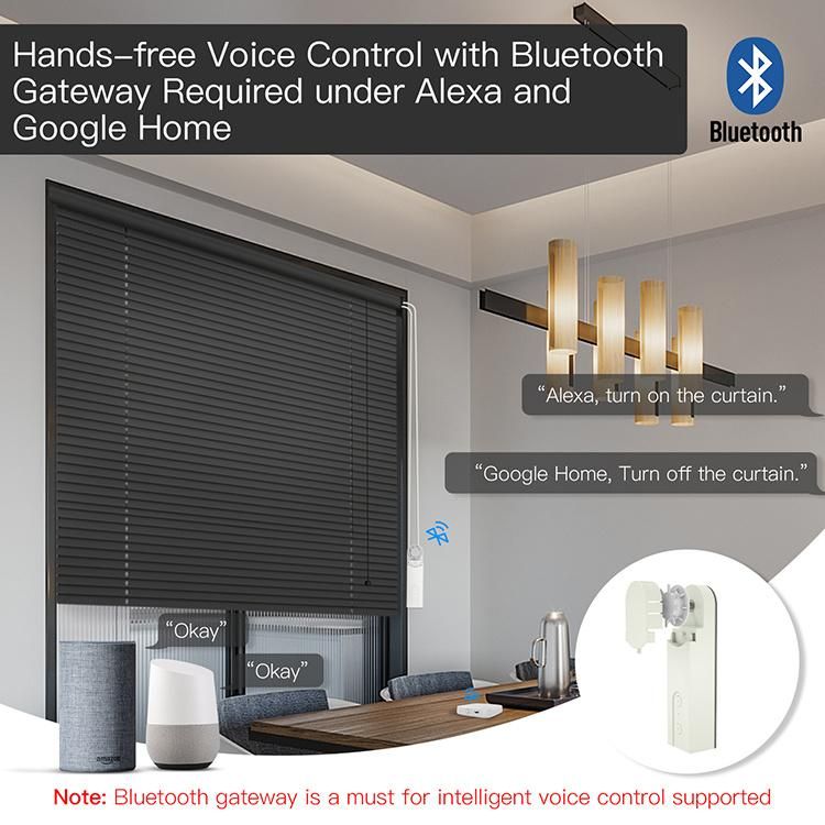 Tuya Smart Home Zigbee WiFi Remote Control Shade Shutter Zebra Chain Roller Motor Solar Panel Alexa Smart Curtain Blinds Window