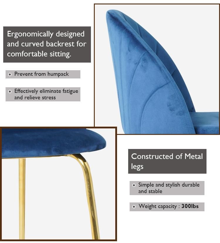 Factory Custom Modern Velvet Upholstered Fabric Dining Chair with Golden Chrome Legs