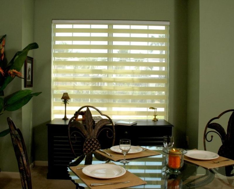 Window Sheer Double/Two Layer Zebra Blind/Two Layer Roller Blinds/Day &Light Roller Blinds Style/Blinds Track/Blinds Tube/Blinds Rails