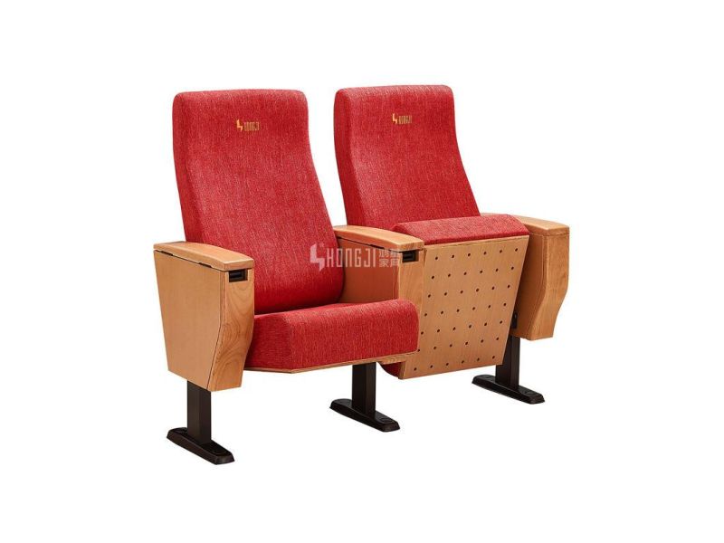 Economic Public Lecture Theater Media Room Conference Theater Church Auditorium Chair