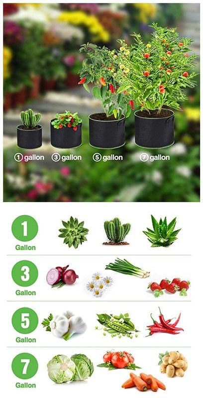 Grow-Green Grow Bags, Raised Garden Bed|Plant Containers|Fabric Pots|Planter Bag From