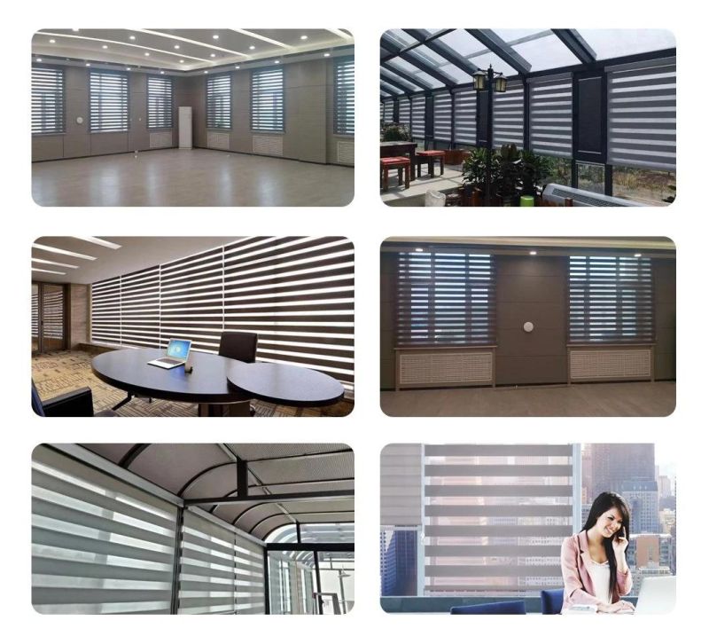 Double Layer Day and Night Indoor Shade Window Manual Zebra Blinds