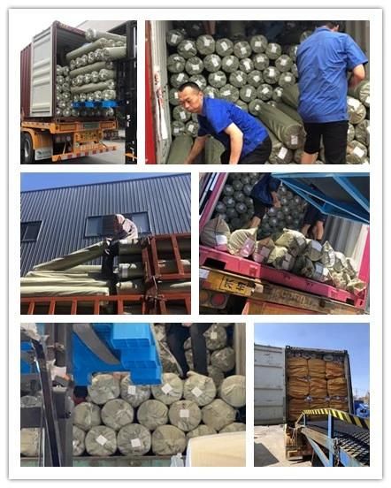 100%Polyester Apparel Cloth Sofa Fabric Furniture Material (Teddy 5.)