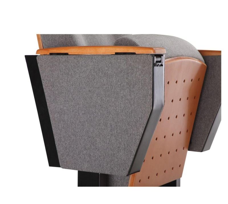 Conference School Lecture Theater Cinema Lecture Hall Theater Church Auditorium Chair