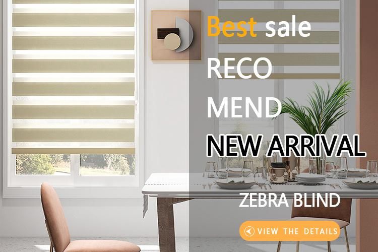 Hot Sale Portable Zebra Roller Blind New Design Wholesale Shade Double Black for Home Decor