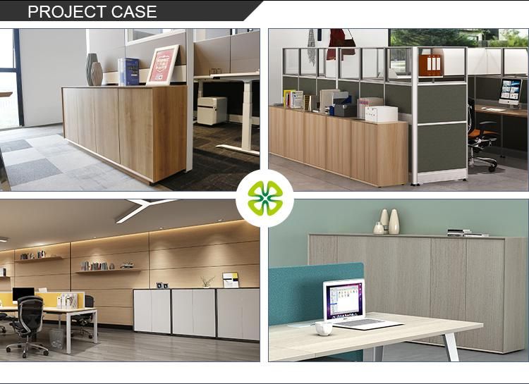High Quality Office Furniture Combination Swing Door Storage Wooden Filing Cabinet