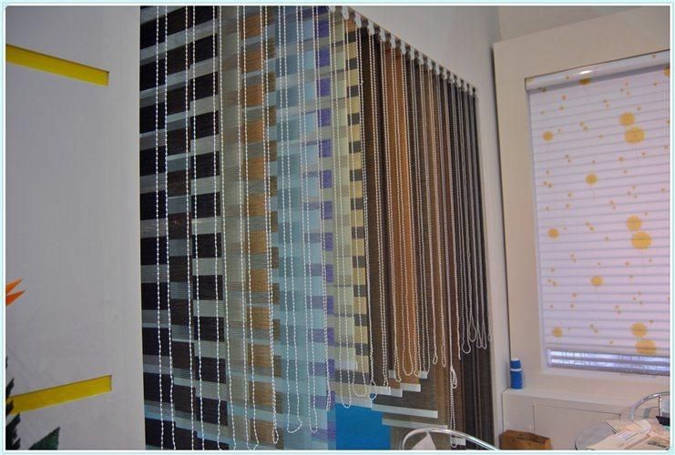 Day and Night Zebra Blinds (SGD-R-3076)