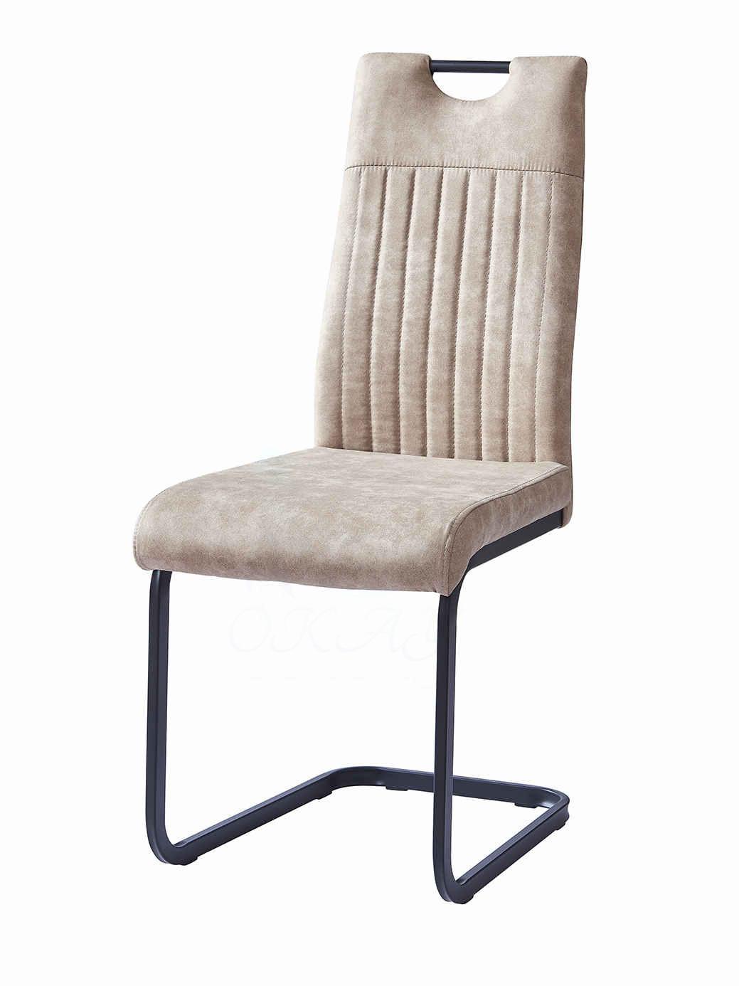 Simple Modern Home Dining Chair