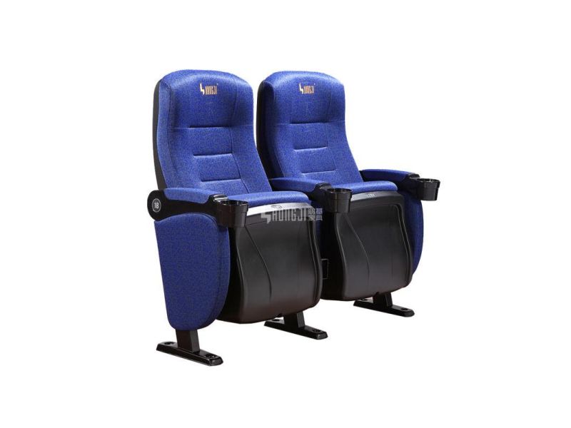 Auditorium Multiplex Church Stadium Theater 4D Movie Cinema Seat