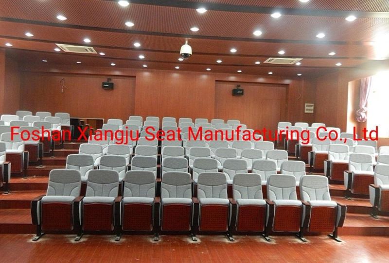 Public Lecture Hall School Economic Media Room Church Theater Auditorium Chair