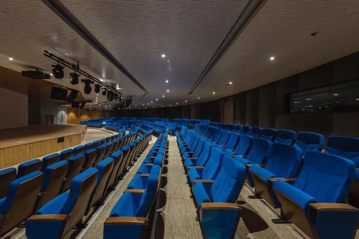 Classic Auditorium Conference Lecture Armrest Theatre Stadium Hall Church Cinema Chair