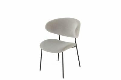 New Modern Dining Chairs with Powder Coating Legs