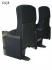 Luxury New Design Theater Seating Auditorium Chair (CAJA)